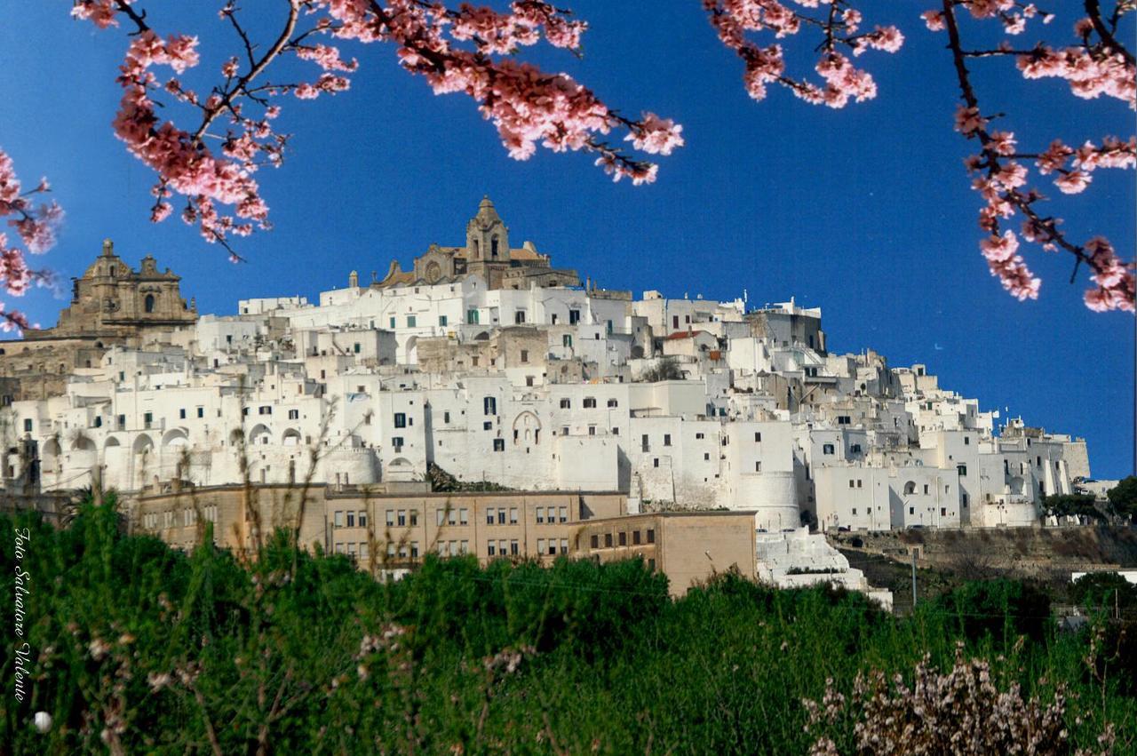 Casa Carlotta Villa Ostuni Kültér fotó